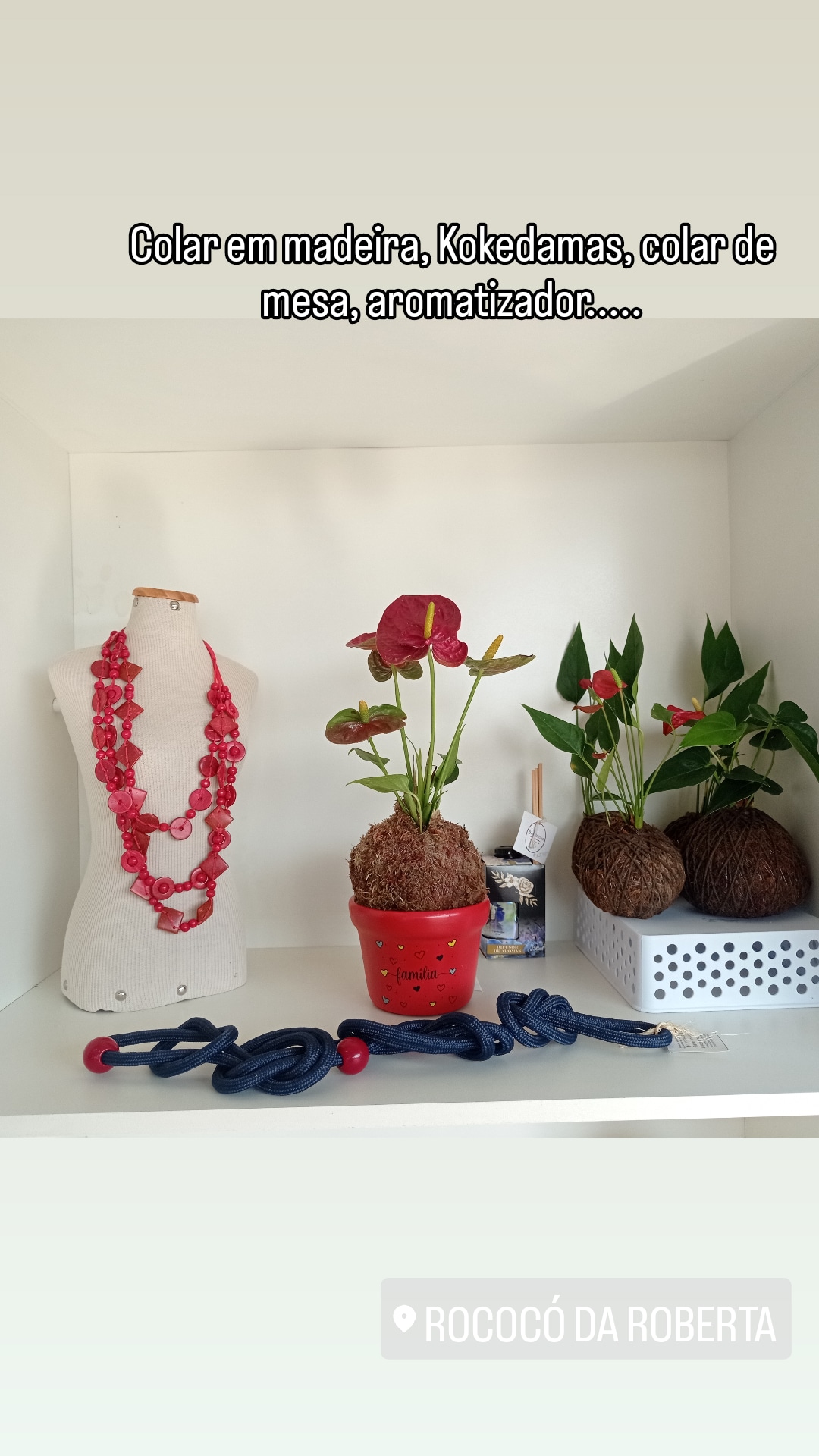 Consultoria Decoração com plantas e paisagismo