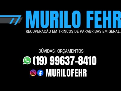Murilo Fehr